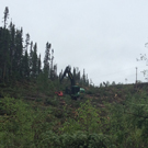 Start of clearing for the 1,100 km HVdc Labrador-Island Transmission Link