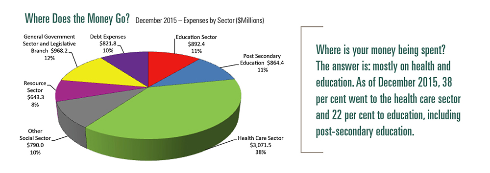 Pie chart displaying Where Does the Money Go.