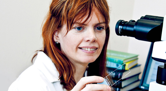 Farm Animal Veterinarians