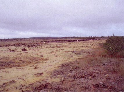Tailings Spill Area