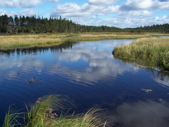 Ripple Pond Proposed Reserve