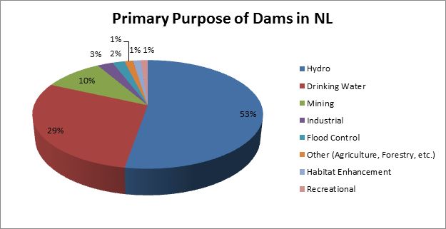 Image of pie chart breaking down primary purpose of dams in Newfoundland, 1% for Industrial, 2% for Recreational, 4% for Other, 9% for Mining, 26% for Drinking water and %58 for Hydro