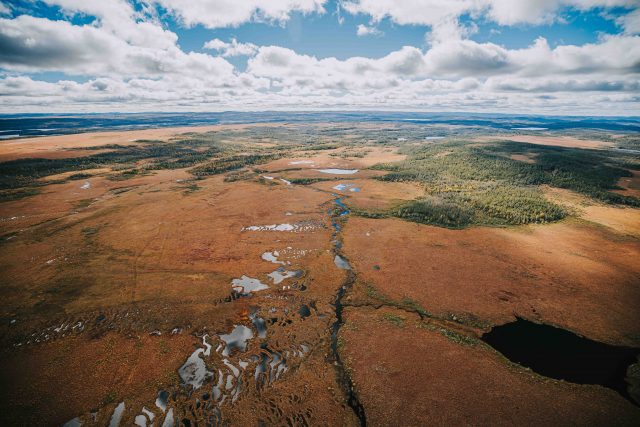 Conne River North proposed ecological reserve wetlands
