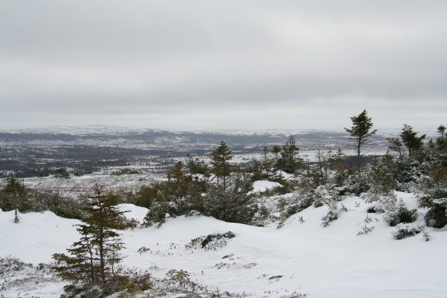 King George IV Ecological Reserve in winder