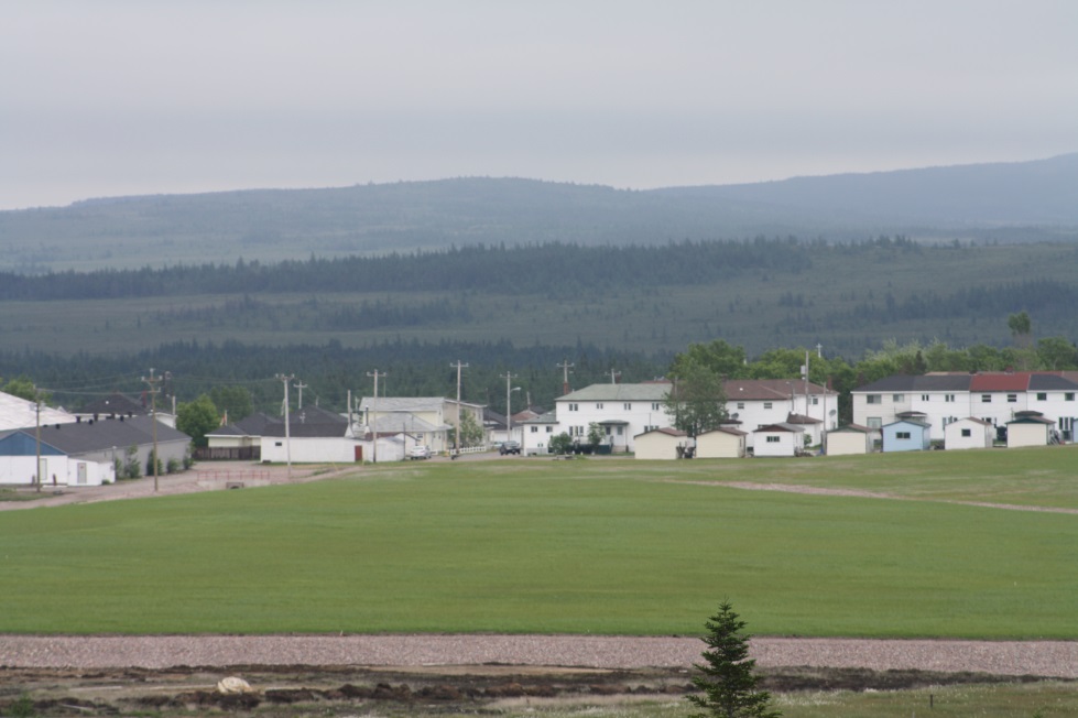 Tailings spill area after remediation hydroseeded
