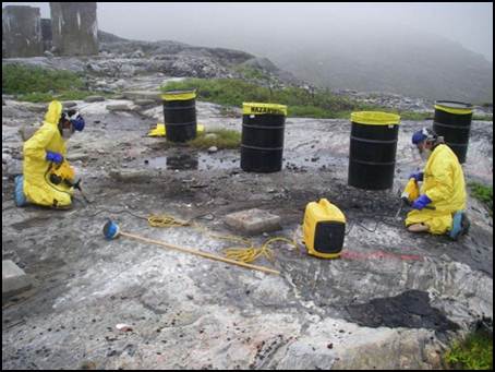 Remediation of PCB-impacted tar in 2009