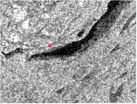 Open water or water on ice