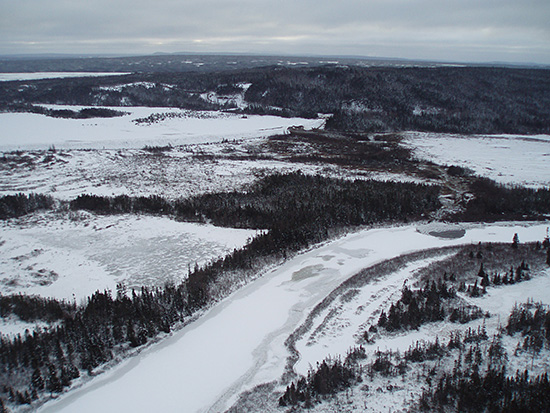 Dam Breach Area and South Brook
