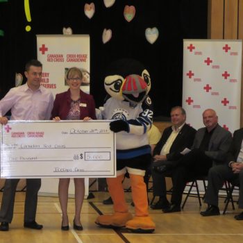 photos 2014 besafe besafe1