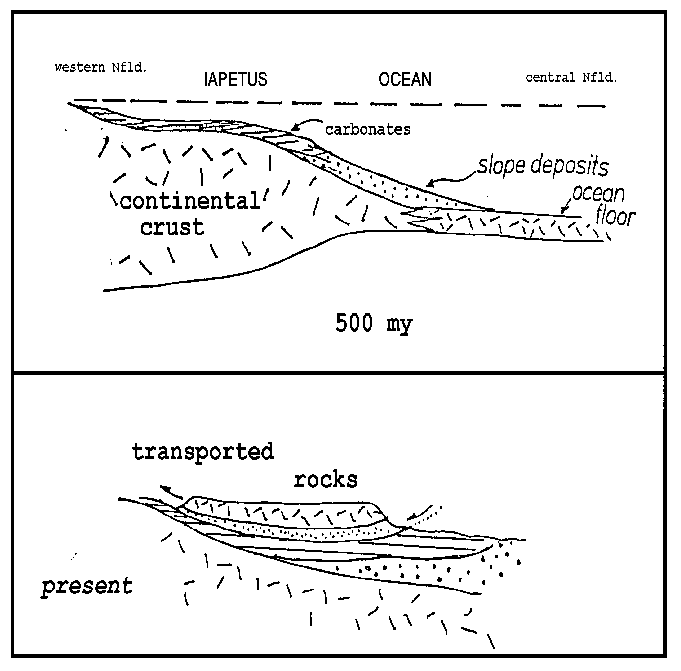 cross section