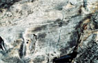 Rhyolite