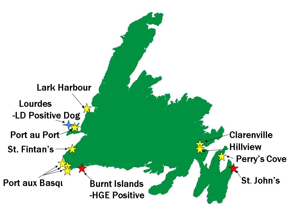 newfoundland