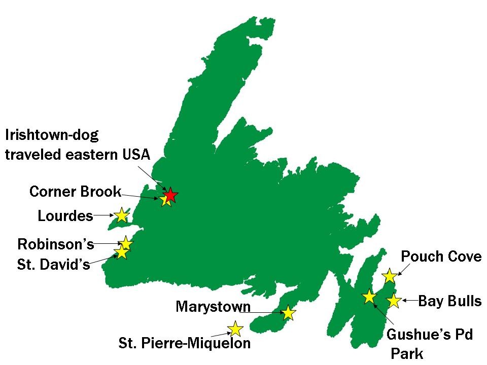 newfoundland