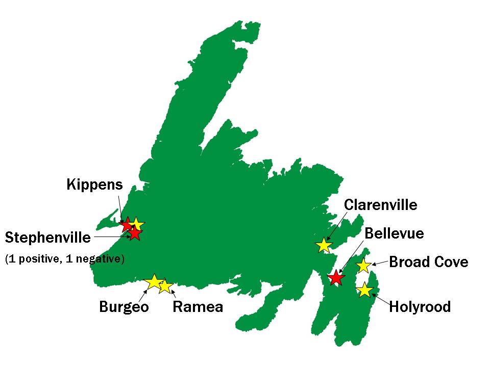 newfoundland