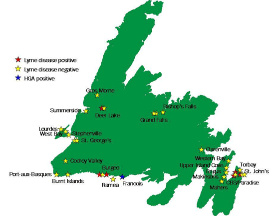 newfoundland
