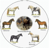 Heritage animals