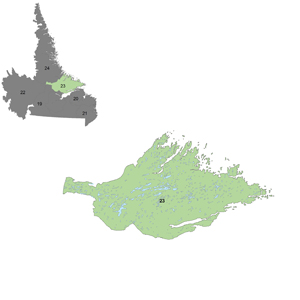 District 23: Forest Management District 23 is situated on the eastern mid-Labrador coast.