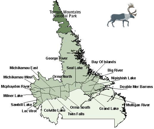 Moose/Bear Map