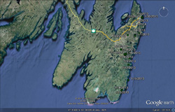 Emily Eagle Tracking October 2012