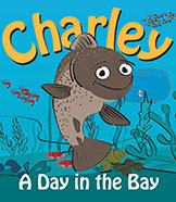 Charley - A Day in the Bay