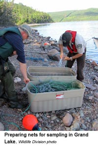 Preparing nets for sampling in Grand Lake.