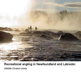 Recreational angling in Newfoundland and Labrador.