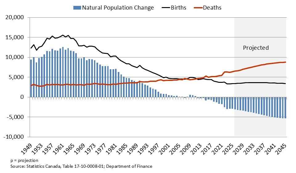 Population Projections — Demographic Overview - Finance