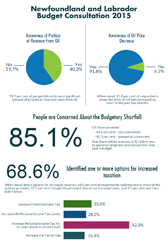 Budget Consultation 2015 Statistics 