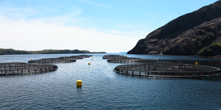Aquaculture site in St. Alban's, Newfoundland