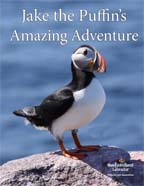 Jake the Puffin