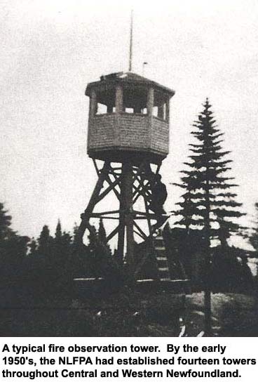 A typical fire observation tower. By the early 1950's, the NLFPA had established fourteen towers throughout Central and Western Newfoundland.