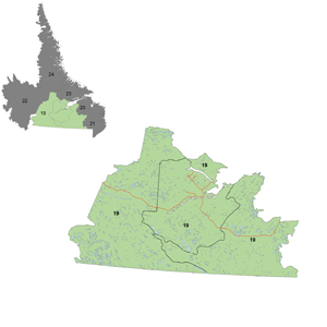 District 19: District 19 is located in south-central Labrador.