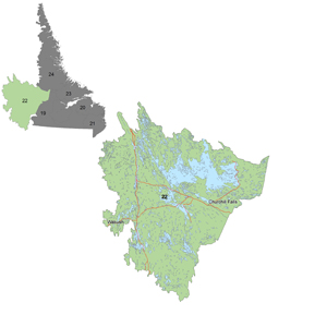 District 22: District 22 is located in western Labrador.