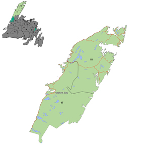 Zone 8: Zone eight encompass the majority of the Great Northern Peninsula and is comprised primarily of Forest Management Districts 17 and 18.