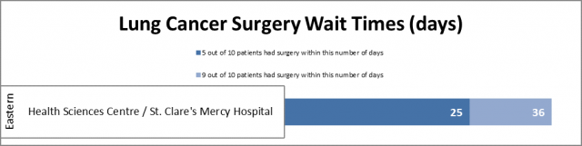 Lung Cancer Surgery Wait Times for Q2 (July 1 – September 30, 2023-2024)
