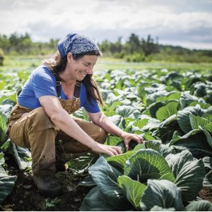 A picture of a smiling person dressed in overalls farming in a field of cabbages.