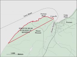 Fortune Head Ecological Reserve