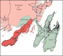 Ruffed and Spruce Grouse 1