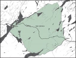 Ruffed and Spruce Grouse 2