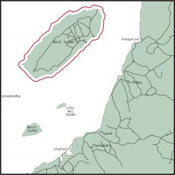 Sowshoe Hare Bell Island Conception Bay