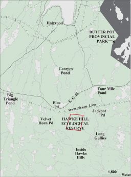 Hawke Hill Ecological Reserve