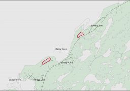 Sandy Cove Ecological Reserve