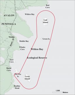 Witless Bay Ecological Reserve