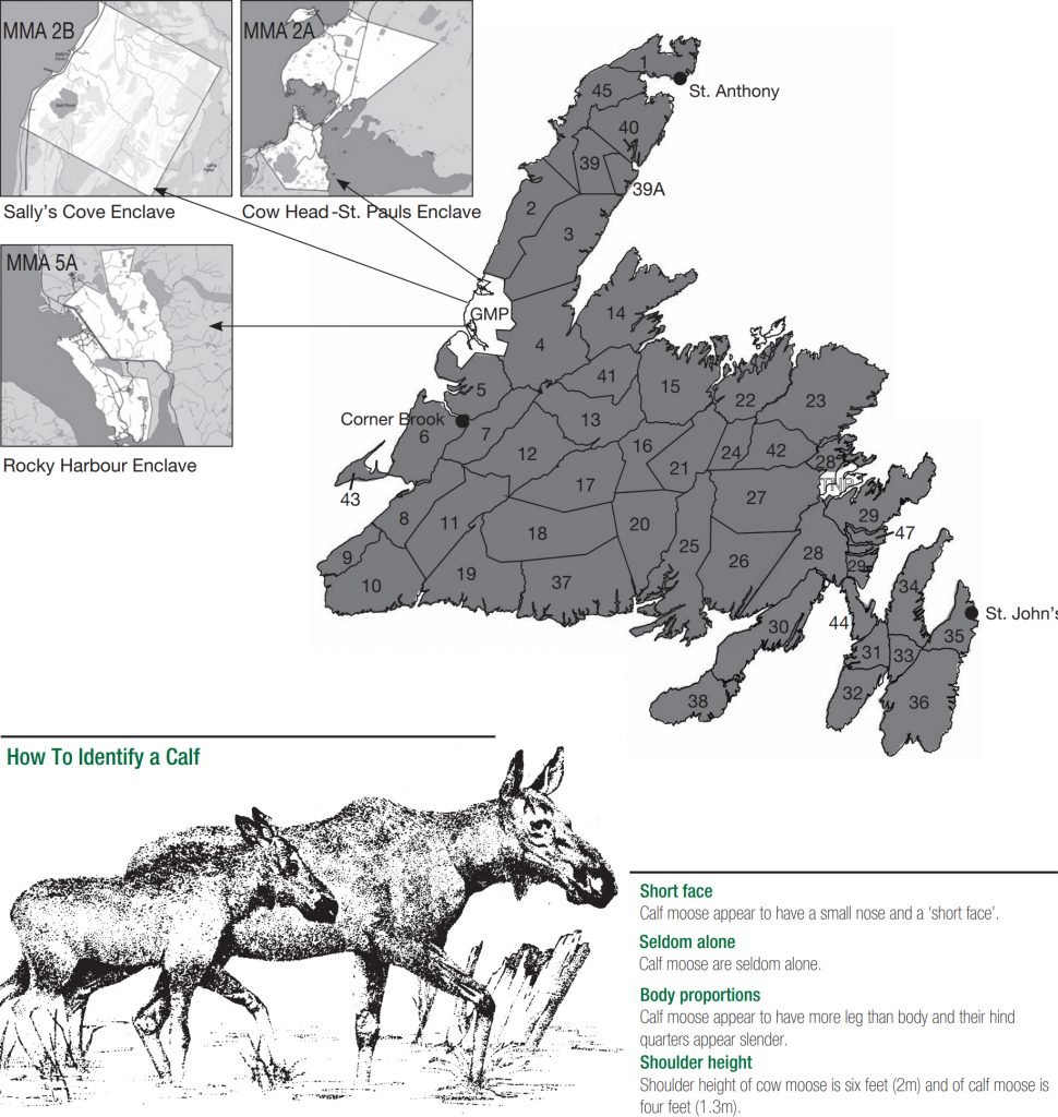 Moose Management Area Map