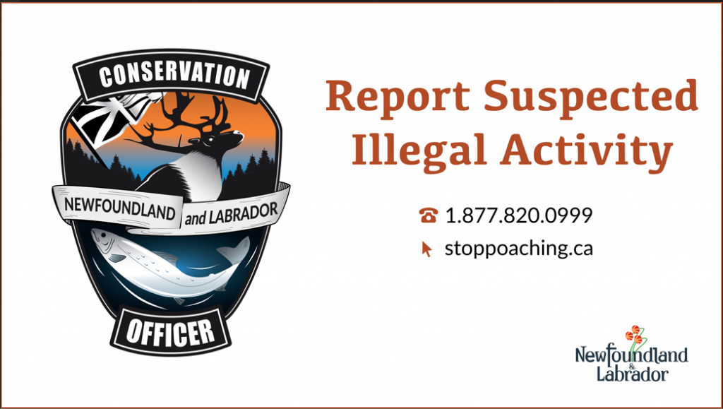 Report Suspected Illegal Activity 1.877.820.0999 stoppoaching.ca