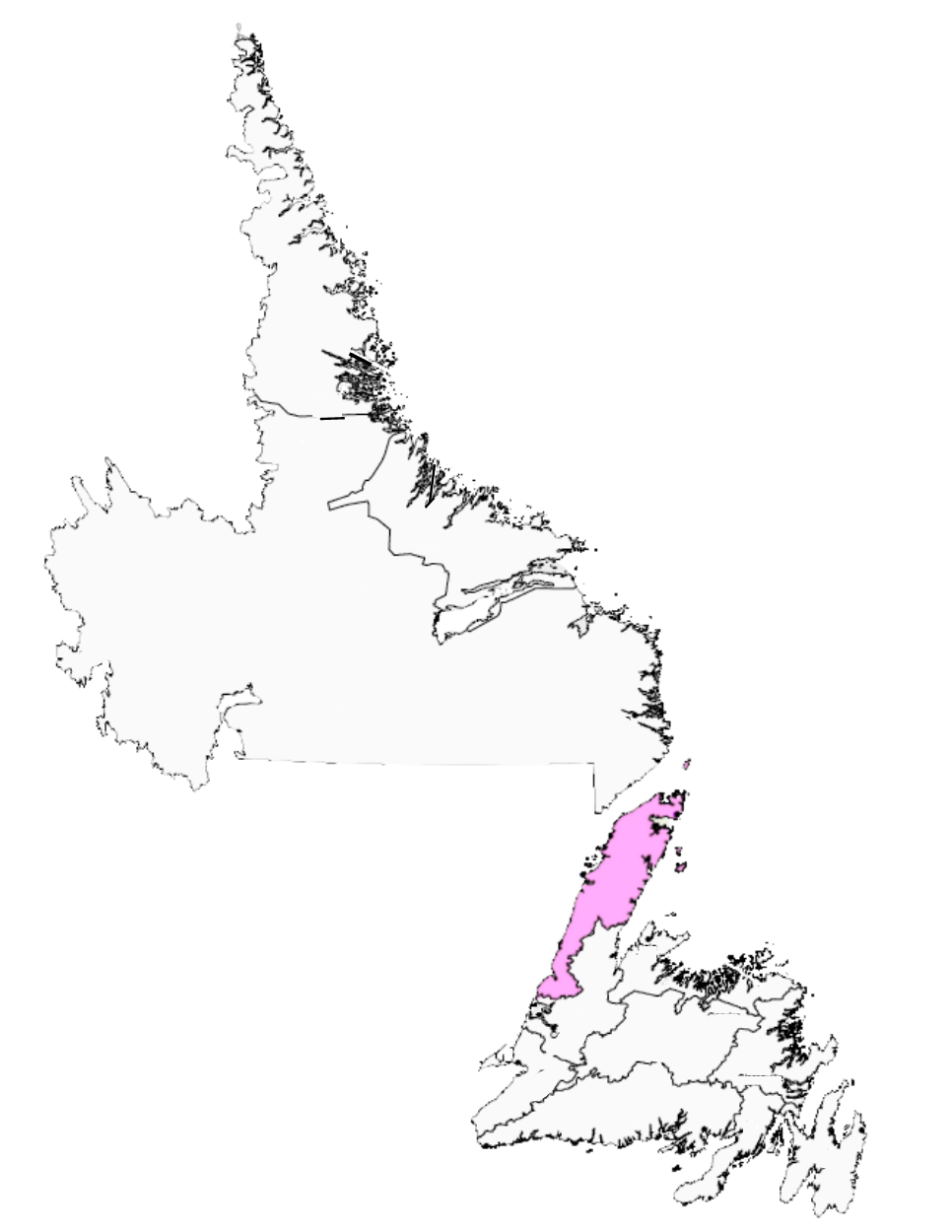 NL map with Northern peninsula highlighted