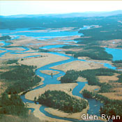 Wetlands