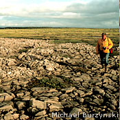 Barrens