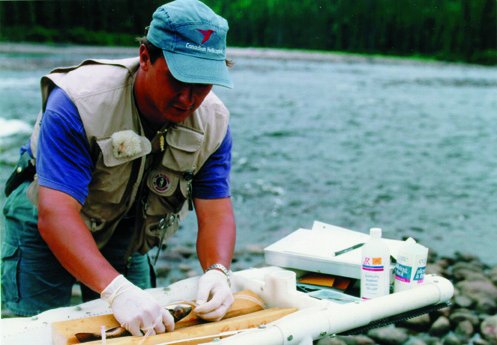 hydro.jpg (39544 bytes)