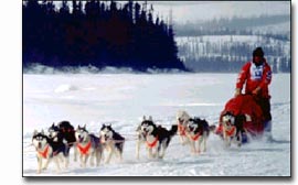 Labrador Winter Games, Photo: Tourism Newfoundland